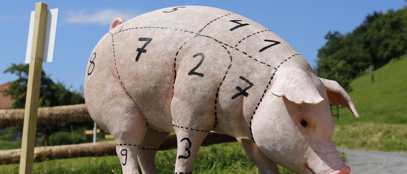 Schwein haben<br>Schöpfungsbewahrung im Bereich der Tierhaltung, Fleischproduktion und -vermarktung