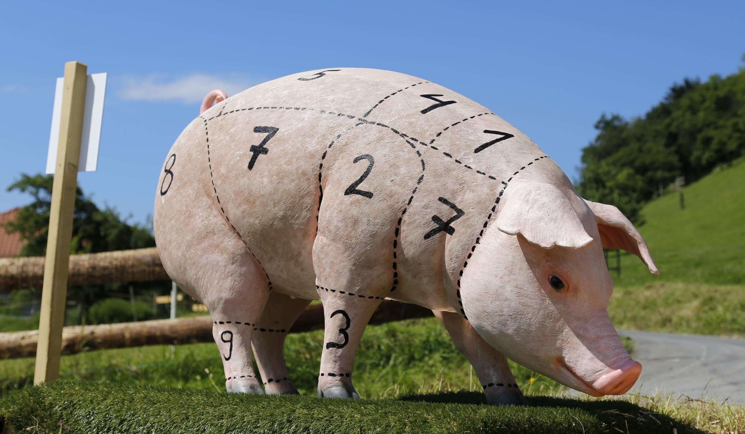 Schwein haben<br>Schöpfungsbewahrung im Bereich der Tierhaltung, Fleischproduktion und -vermarktung