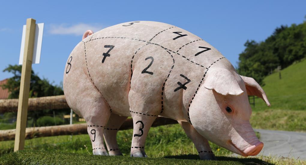 Schwein haben<br>Schöpfungsbewahrung im Bereich der Tierhaltung, Fleischproduktion und -vermarktung