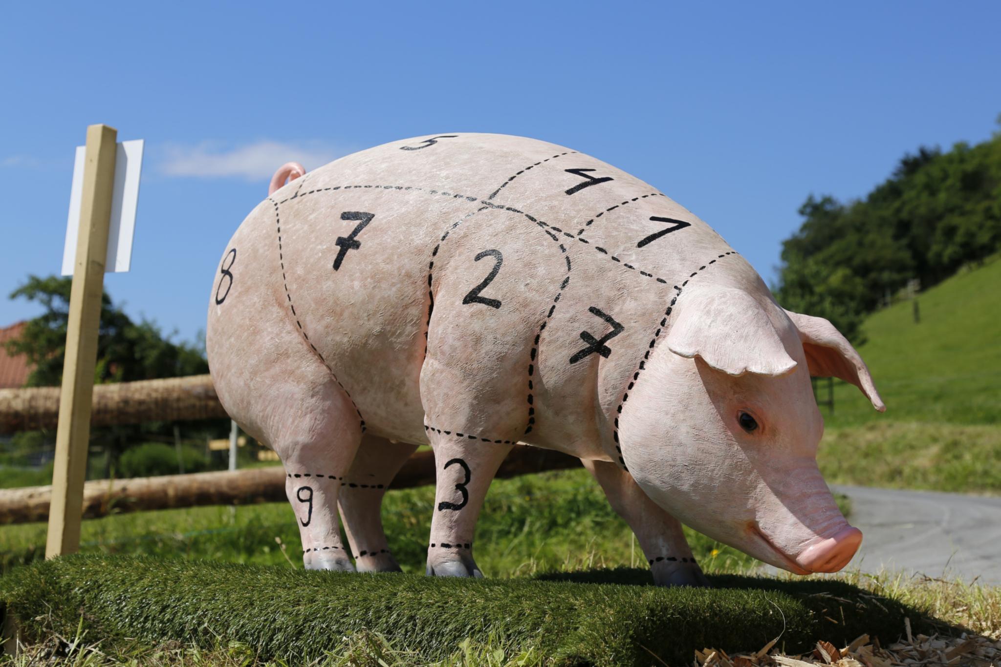Schwein haben<br>Schöpfungsbewahrung im Bereich der Tierhaltung, Fleischproduktion und -vermarktung