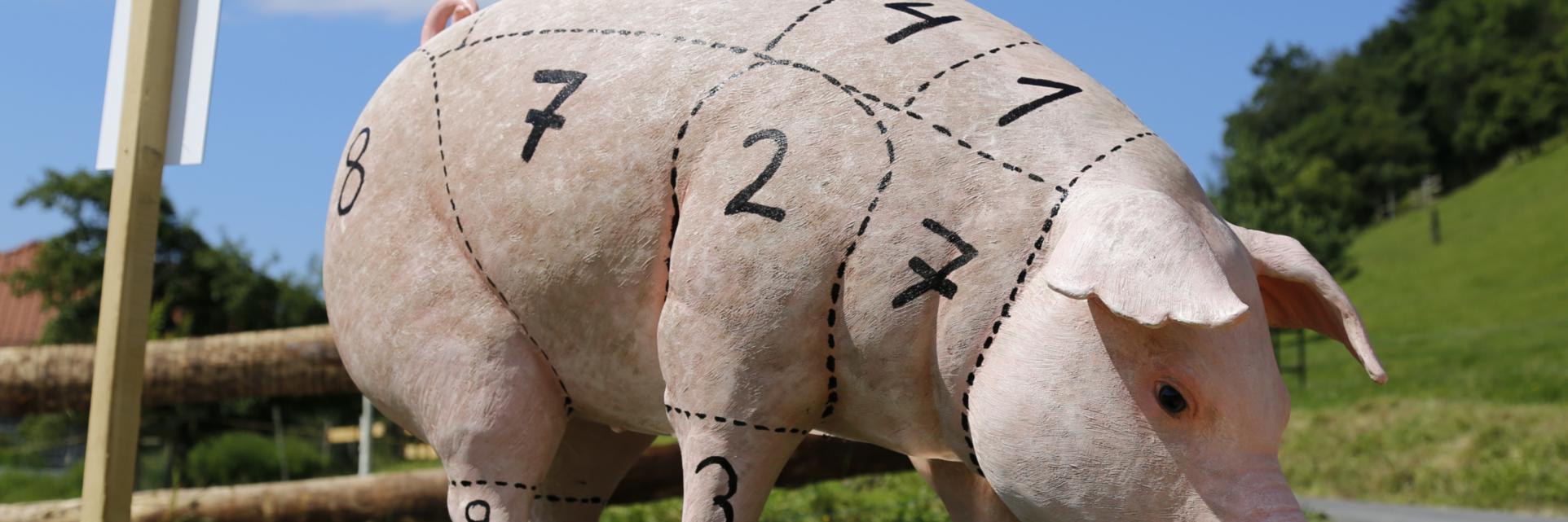 Schwein haben<br>Schöpfungsbewahrung im Bereich der Tierhaltung, Fleischproduktion und -vermarktung