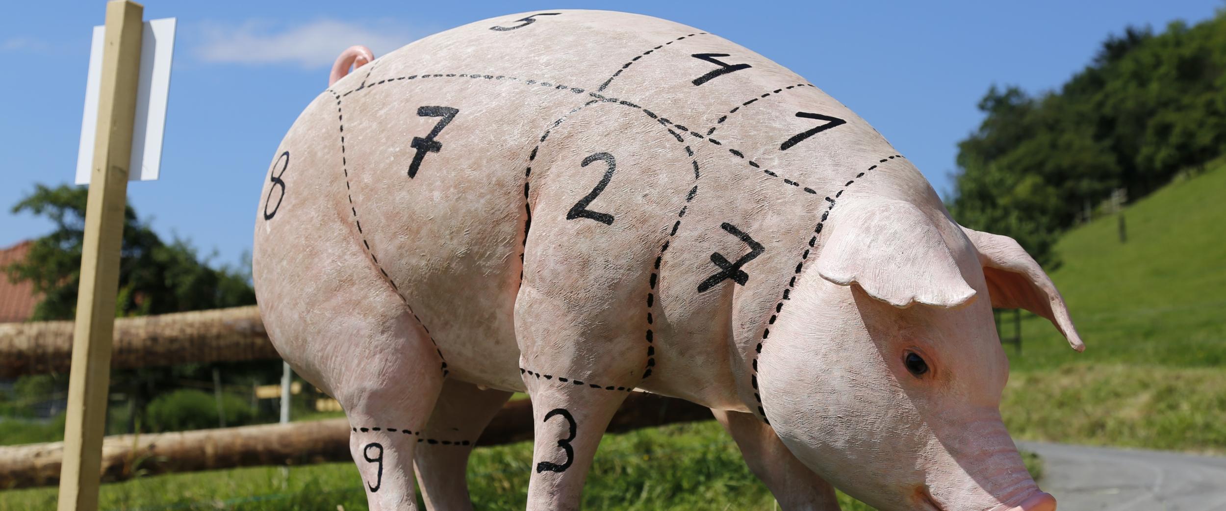 Schwein haben<br>Schöpfungsbewahrung im Bereich der Tierhaltung, Fleischproduktion und -vermarktung